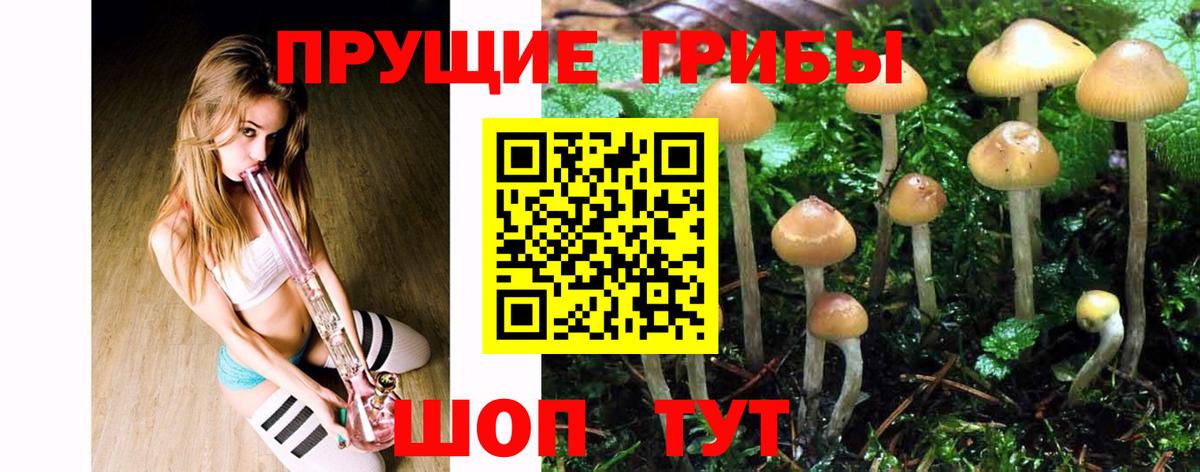 Галлюциногенные грибы Cubensis Ивантеевка