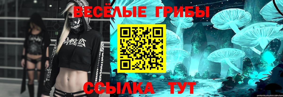 сколько стоит  Псилоцибиновые грибы Psilocybine cubensis  Вход с VPN  Ивантеевка 